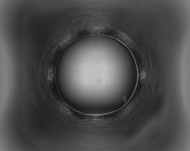 X0000085731204200703231041