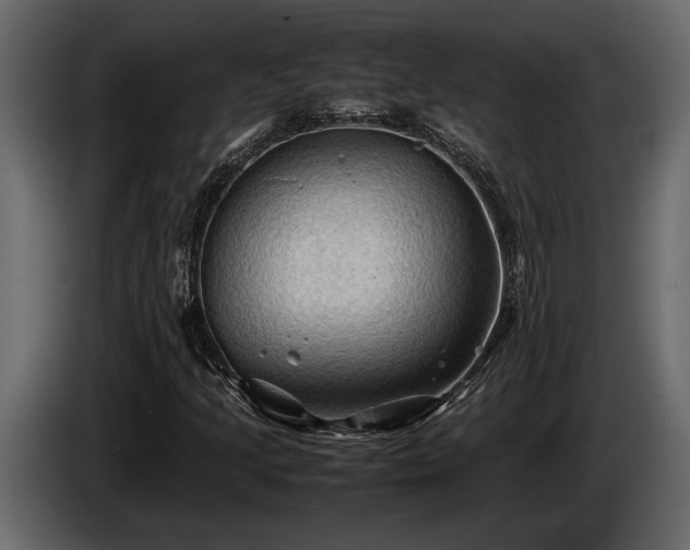 X0000085731205200703231041