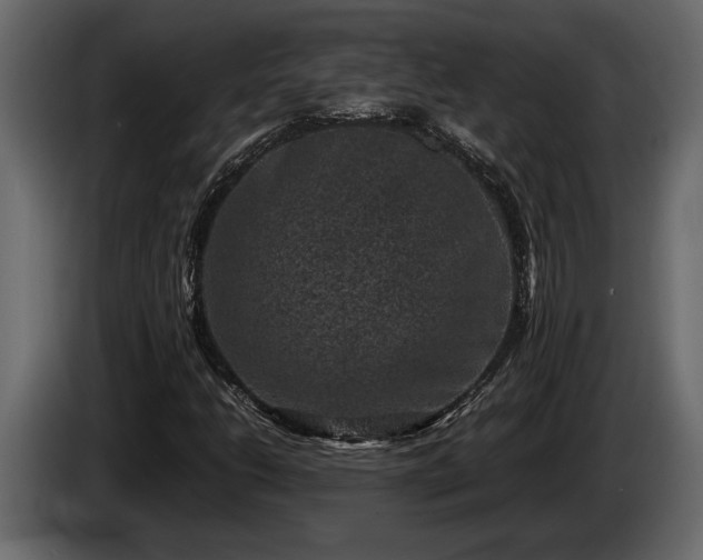 X0000085731206200703231041