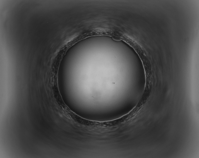 X0000085731207200703231041