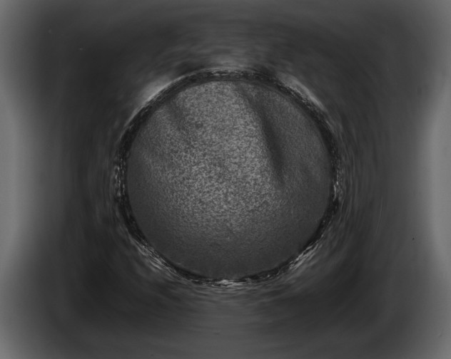 X0000085731208200703231041