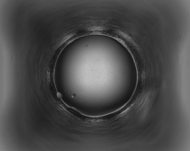 X0000085731209200703231041