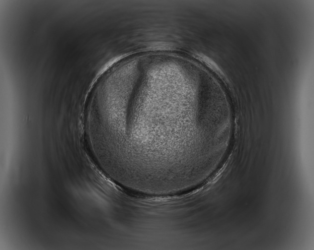 X0000085731212200703231041