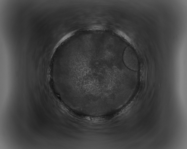 X0000085731213200703231041