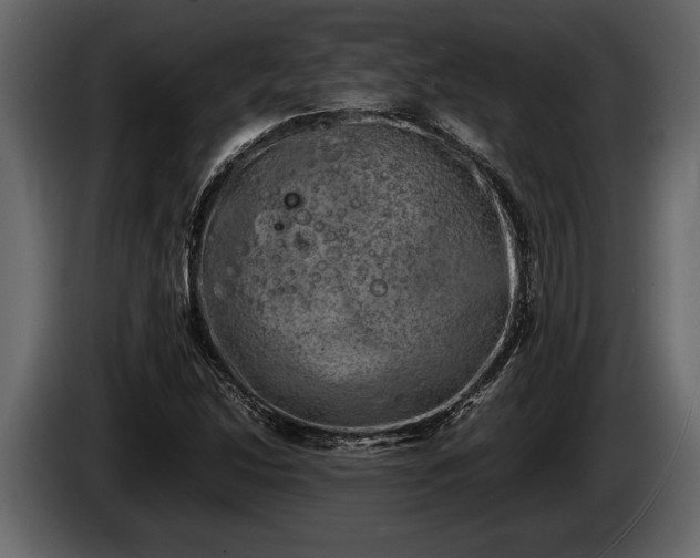 X0000085731214200703231041