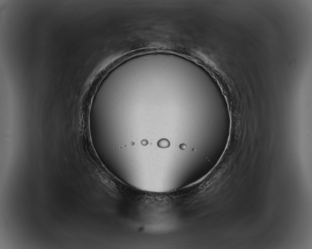 X0000085731215200703231041