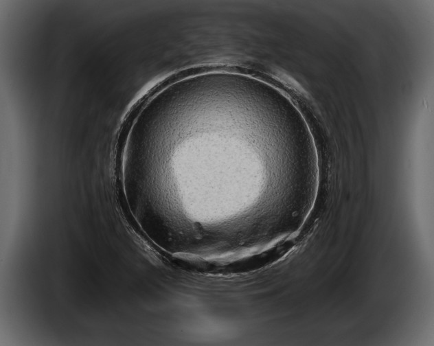 X0000085731216200703231041