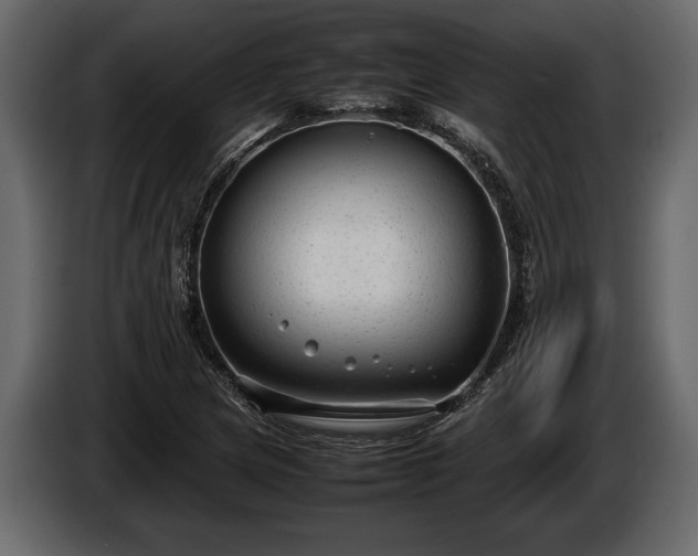 X0000085731217200703231041