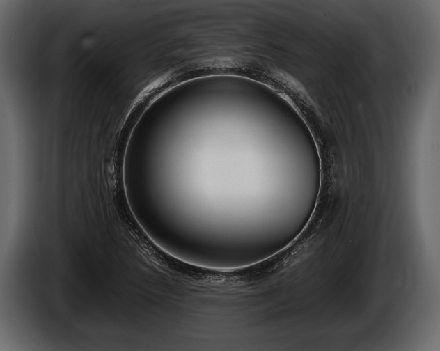 X0000085731218200703231041