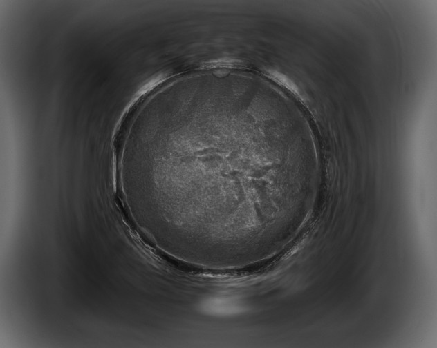 X0000085731219200703231041