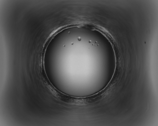 X0000085731220200703231041