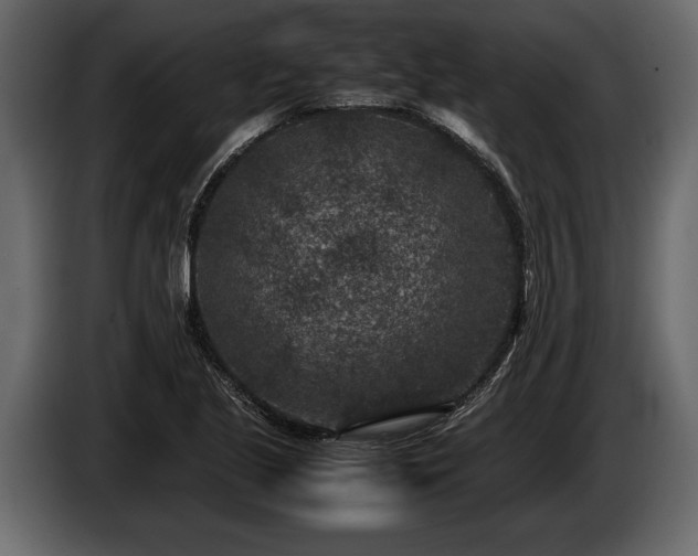 X0000085731221200703231041