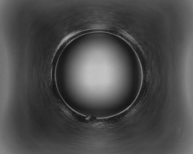 X0000085731222200703231041