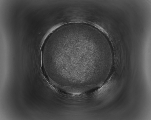 X0000085731223200703231041