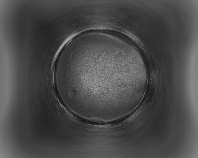 X0000085731224200703231041