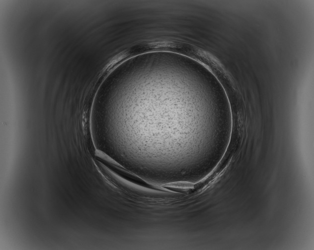 X0000085731225200703231041