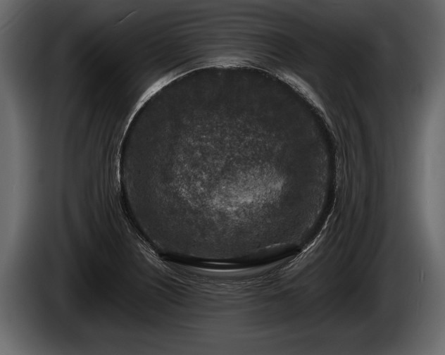 X0000085731226200703231041