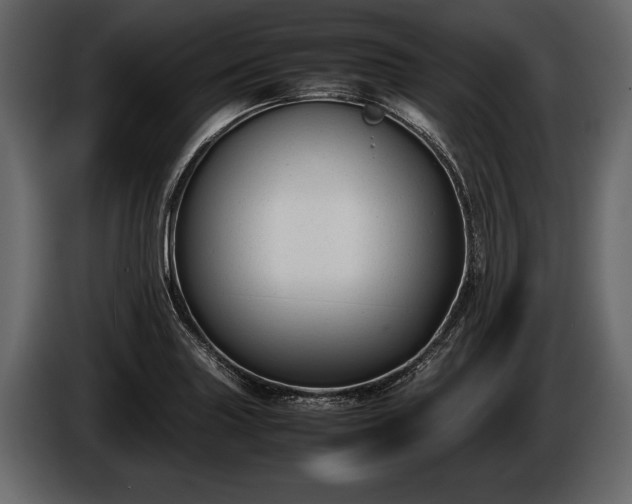 X0000085731227200703231041