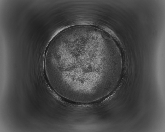 X0000085731228200703231041