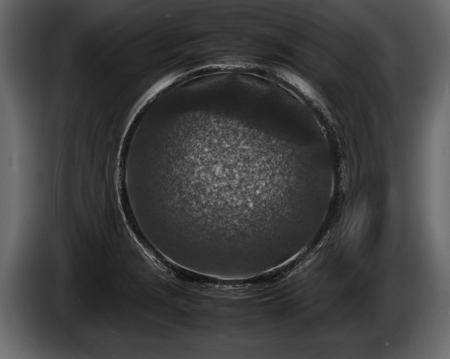 X0000085731229200703231041