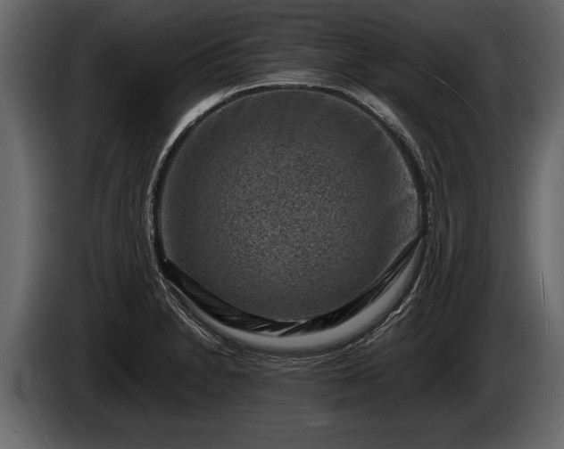 X0000085731230200703231041