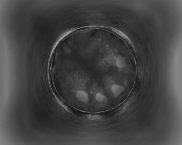 X0000085731231200703231041