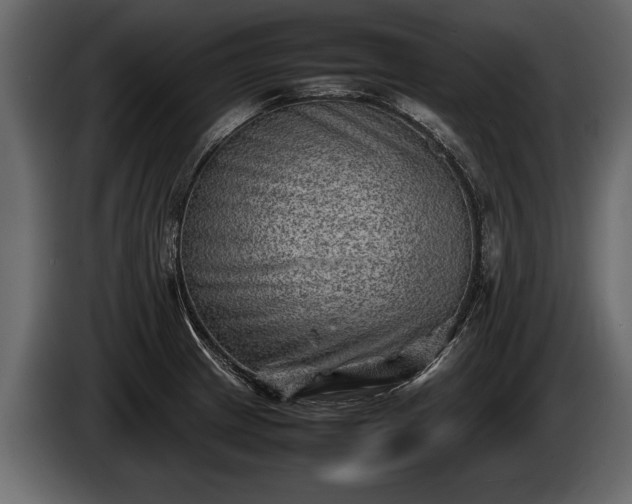 X0000085731233200703231041