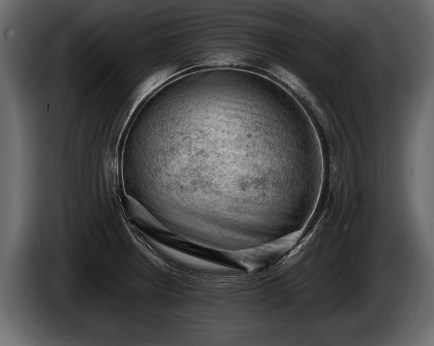 X0000085731234200703231041