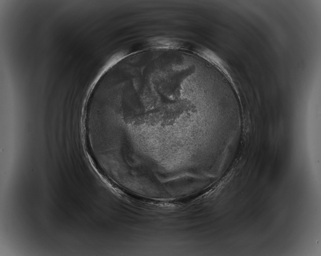 X0000085731235200703231041