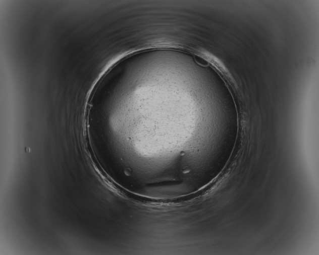 X0000085731236200703231041