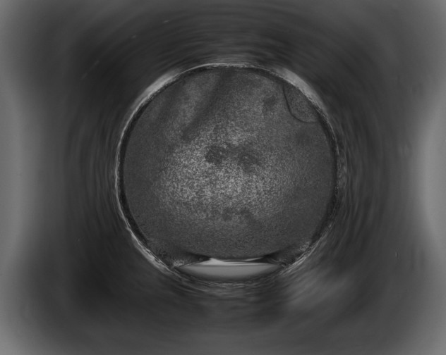 X0000085731237200703231041