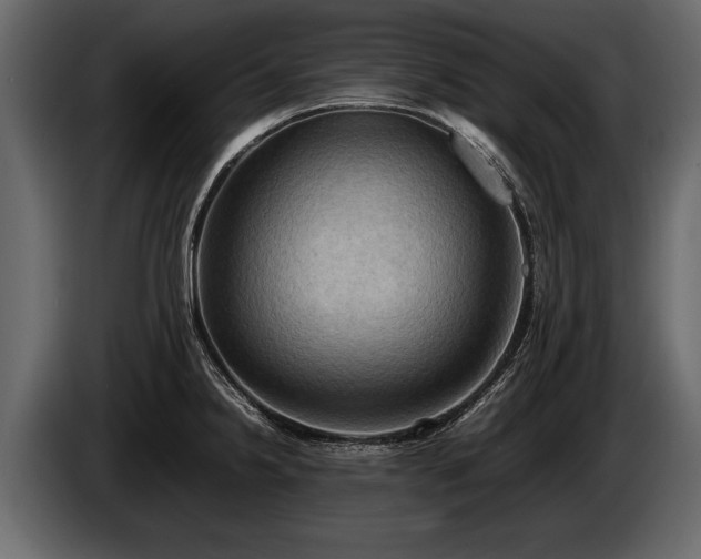 X0000085731238200703231041