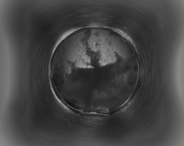 X0000085731239200703231041