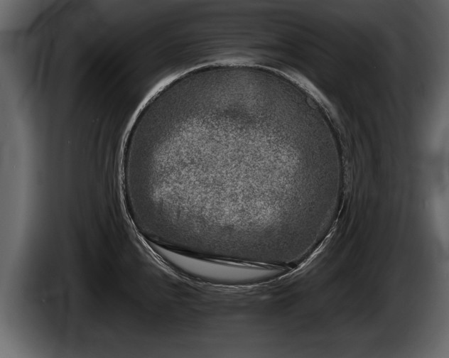 X0000085731240200703231041