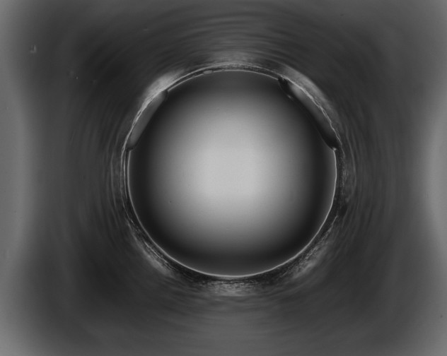 X0000085731242200703231041