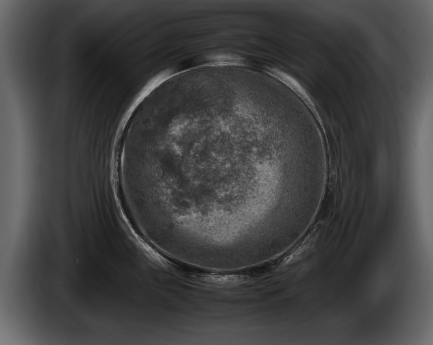 X0000085731243200703231041