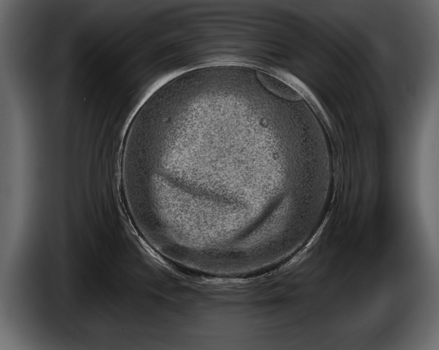 X0000085731244200703231041