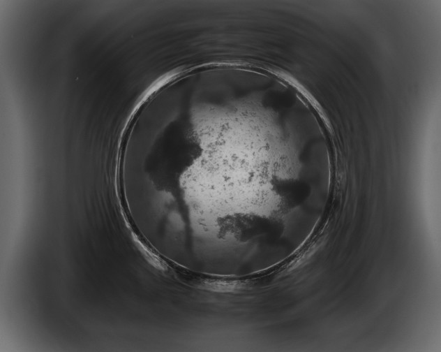 X0000085731245200703231041