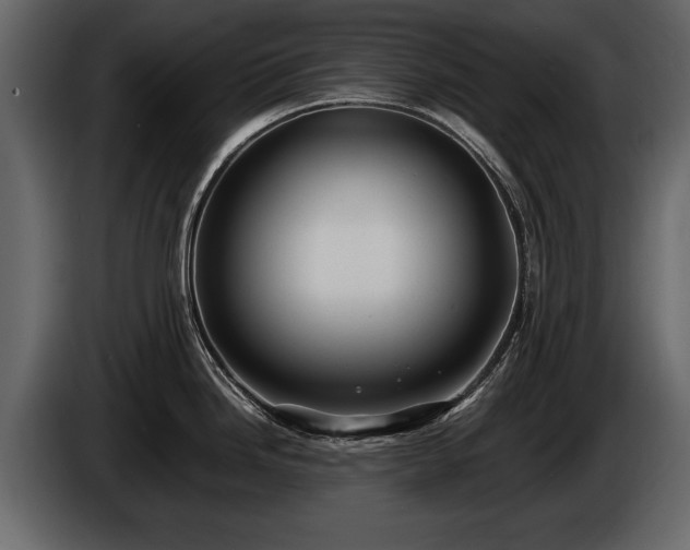 X0000085731246200703231041