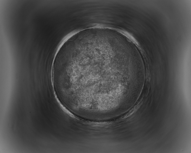 X0000085731247200703231041