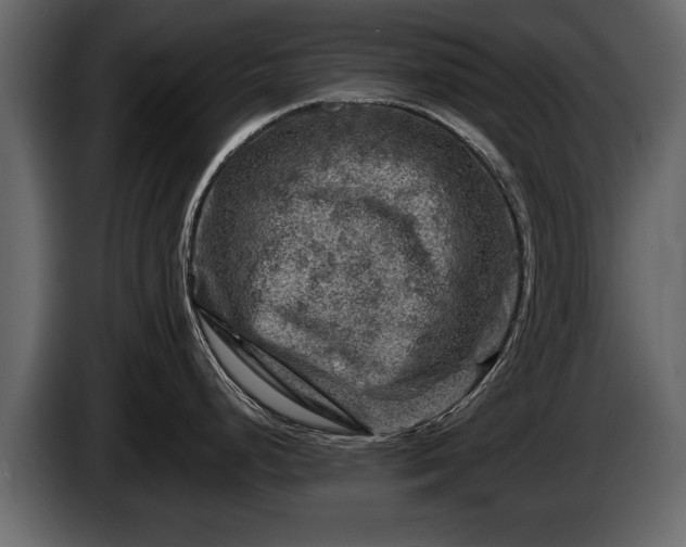 X0000085731248200703231041