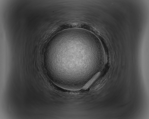 X0000085731249200703231040