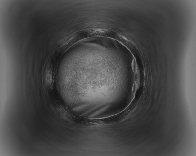 X0000085731250200703231040