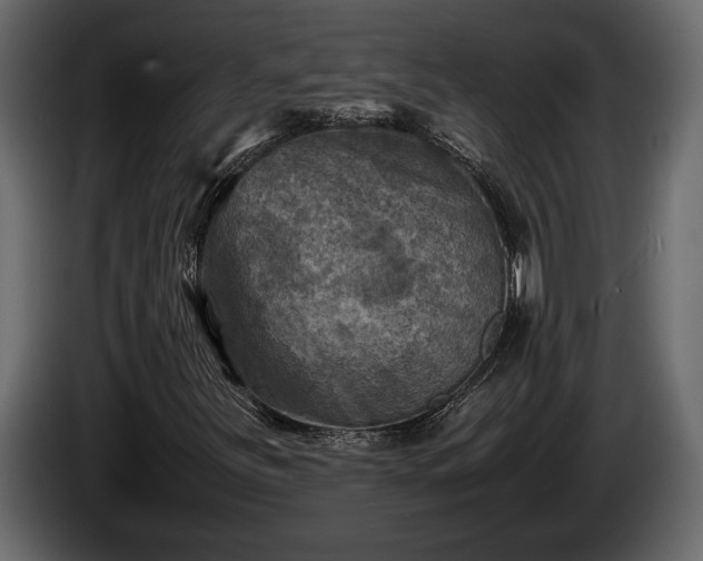 X0000085731251200703231040