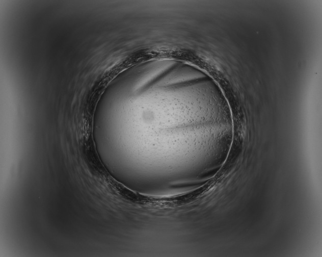 X0000085731253200703231040