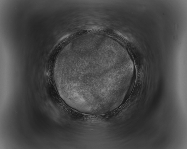 X0000085731254200703231040