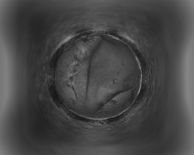 X0000085731255200703231040