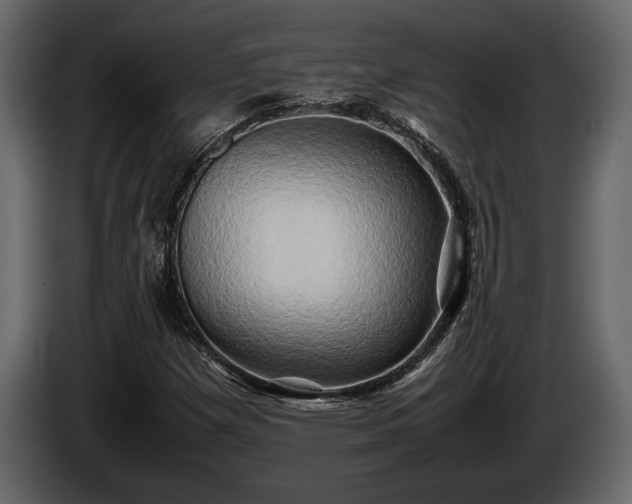 X0000085731257200703231040