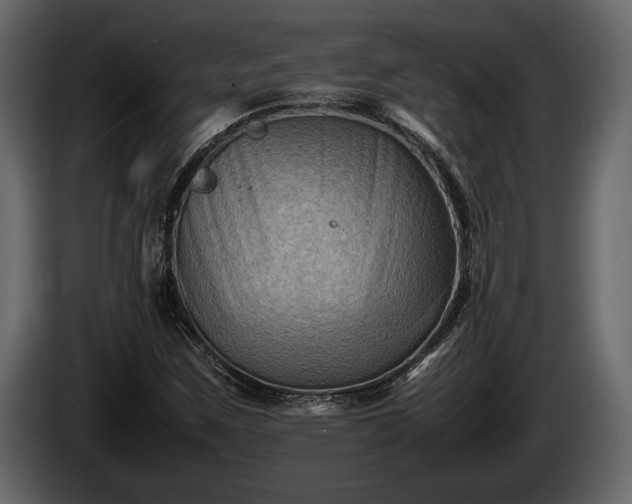 X0000085731259200703231040