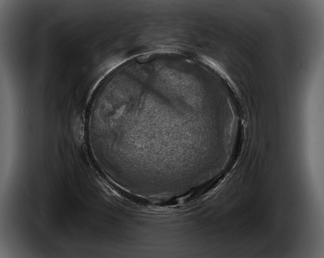 X0000085731260200703231040